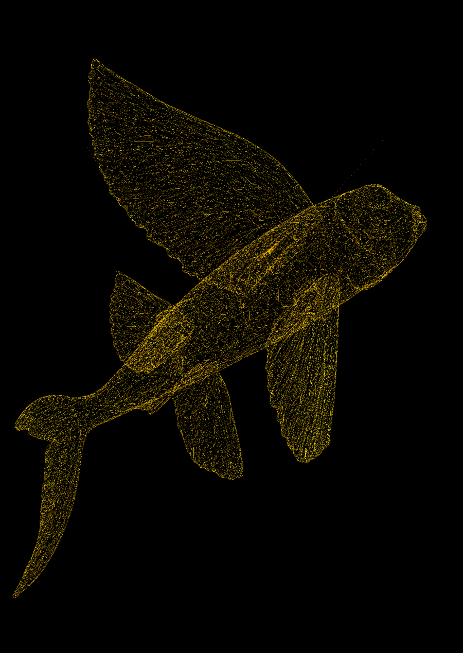 fischflyersw