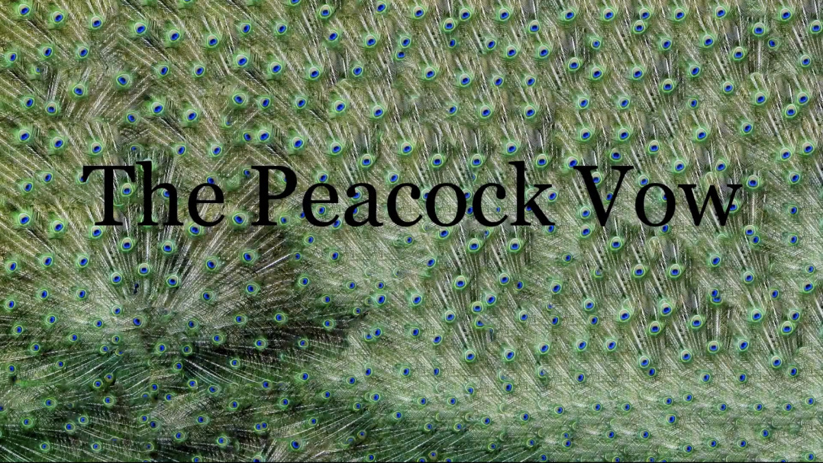 Vorschaubild des Videos